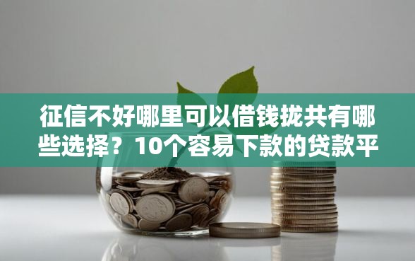 征信不好哪里可以借钱拢共有哪些选择？10个容易下款的贷款平台详解