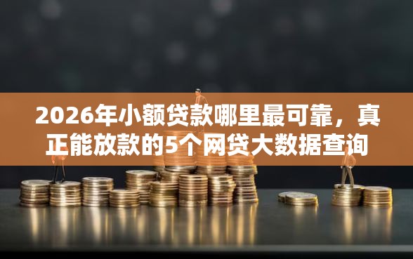 2026年小额贷款哪里最可靠,真正能放款的5个网贷大数据查询平台推荐 2026年小额贷款哪里最可靠,真正能放款的5个网贷大数据查询平台推荐