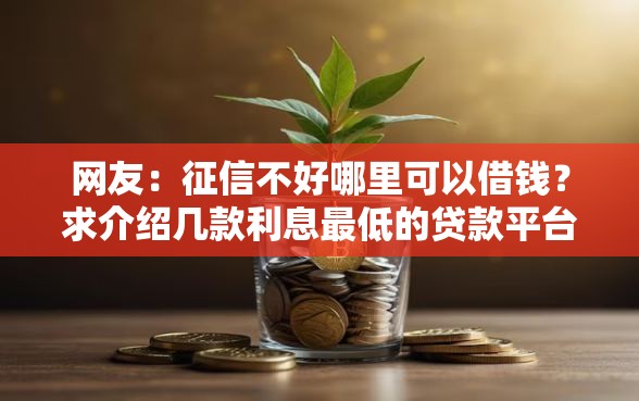 网友:征信不好哪里可以借钱?求介绍几款利息最低的贷款平台 网友:征信不好哪里可以借钱?求介绍几款利息最低的贷款平台