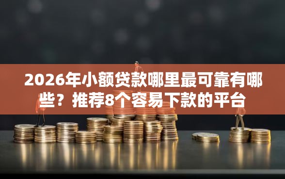 2026年小额贷款哪里最可靠有哪些？推荐8个容易下款的平台