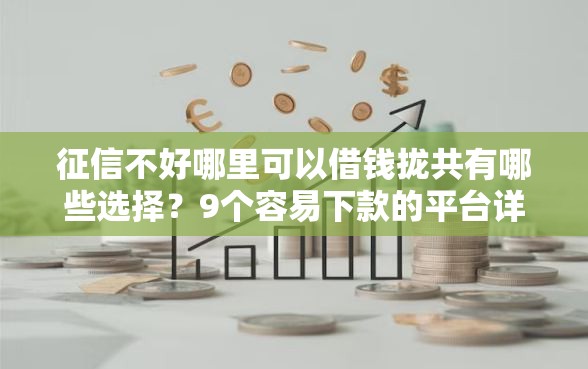 征信不好哪里可以借钱拢共有哪些选择？9个容易下款的平台详解