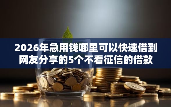 2026年急用钱哪里可以快速借到网友分享的5个不看征信的借款平台百分百通过我觉得不错！