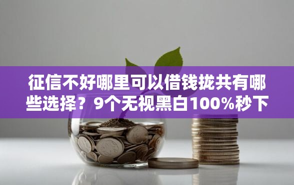 征信不好哪里可以借钱拢共有哪些选择？9个无视黑白100%秒下网贷详解