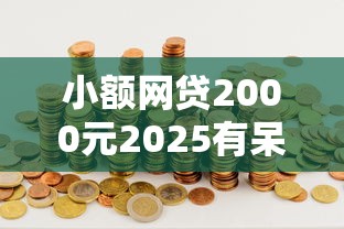 小额网贷2000元2025有呆账能下款的口子，小额贷款哪里最可靠的5个平台介绍