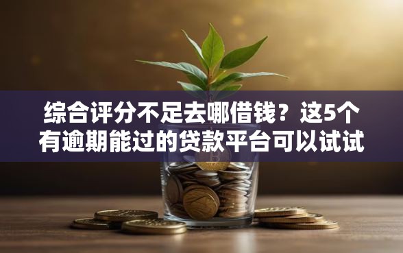 综合评分不足去哪借钱？这5个有逾期能过的贷款平台可以试试