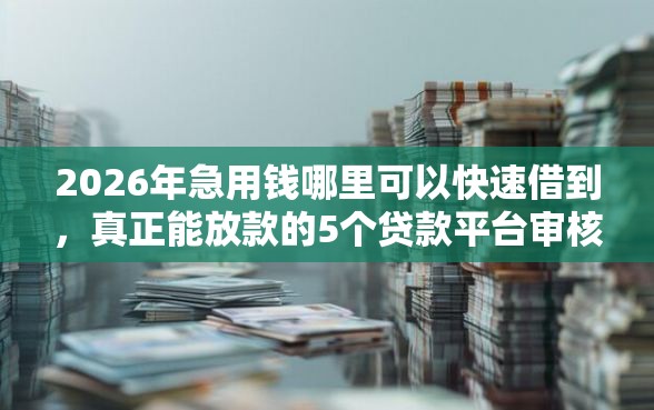 2026年急用钱哪里可以快速借到，真正能放款的5个贷款平台审核通过的几率高推荐