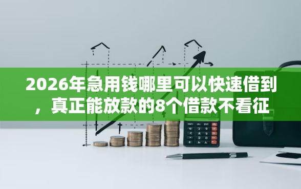 2026年急用钱哪里可以快速借到，真正能放款的8个借款不看征信的平台推荐