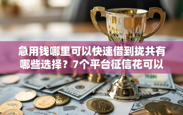 急用钱哪里可以快速借到拢共有哪些选择？7个平台征信花可以下款详解