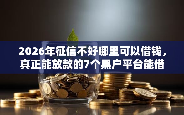 2026年征信不好哪里可以借钱,真正能放款的7个黑户平台能借款推荐 2026年征信不好哪里可以借钱,真正能放款的7个黑户平台能借款推荐