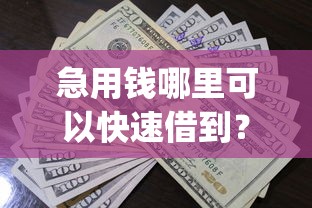 急用钱哪里可以快速借到？2026最新测评10个满19岁可以借款的app