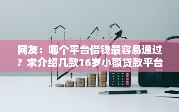 网友：哪个平台借钱最容易通过？求介绍几款16岁小额贷款平台