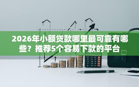2026年小额贷款哪里最可靠有哪些？推荐5个容易下款的平台