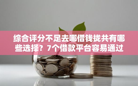 综合评分不足去哪借钱拢共有哪些选择？7个借款平台容易通过详解