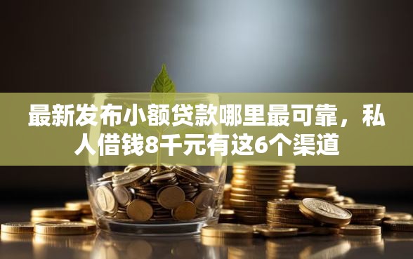最新发布小额贷款哪里最可靠，私人借钱8千元有这6个渠道