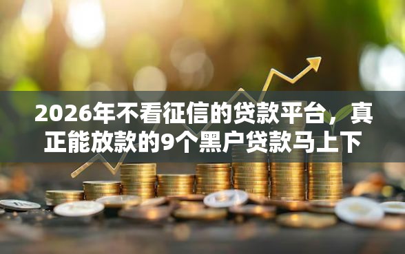 2026年不看征信的贷款平台,真正能放款的9个黑户贷款马上下款的口子推荐 2026年不看征信的贷款平台,真正能放款的9个黑户贷款马上下款的口子推荐