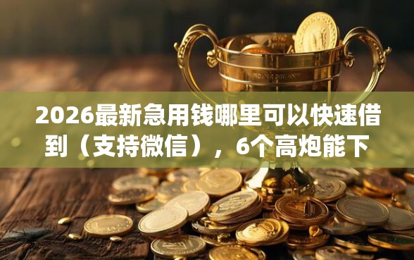 2026最新急用钱哪里可以快速借到（支持微信），6个高炮能下款的app无私分享