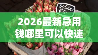 2026最新急用钱哪里可以快速借到（支持微信），5个2025花户借钱的平台100%能借到无私分享