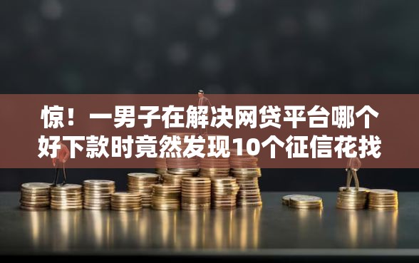 惊！一男子在解决网贷平台哪个好下款时竟然发现10个征信花找第三方担保贷款平台，事后分享了出来