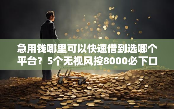急用钱哪里可以快速借到选哪个平台？5个无视风控8000必下口子推荐