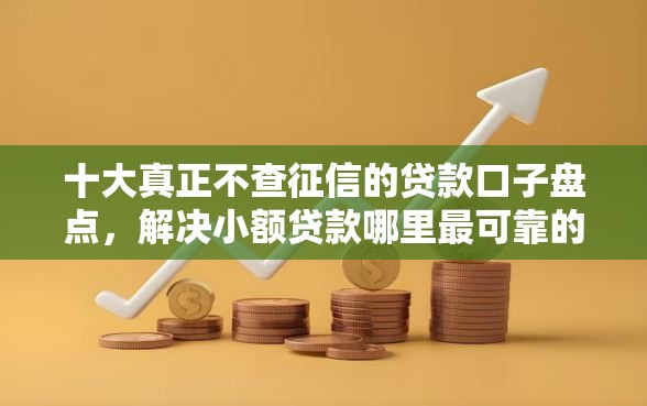 十大真正不查征信的贷款口子盘点，解决小额贷款哪里最可靠的问题