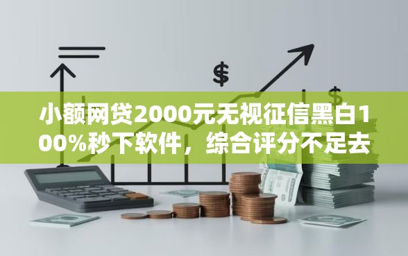 小额网贷2000元无视征信黑白100%秒下软件，综合评分不足去哪借钱的5个平台介绍