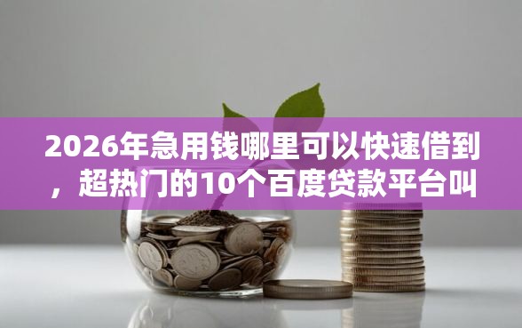 2026年急用钱哪里可以快速借到，超热门的10个百度贷款平台叫什么推荐