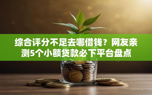 综合评分不足去哪借钱？网友亲测5个小额贷款必下平台盘点