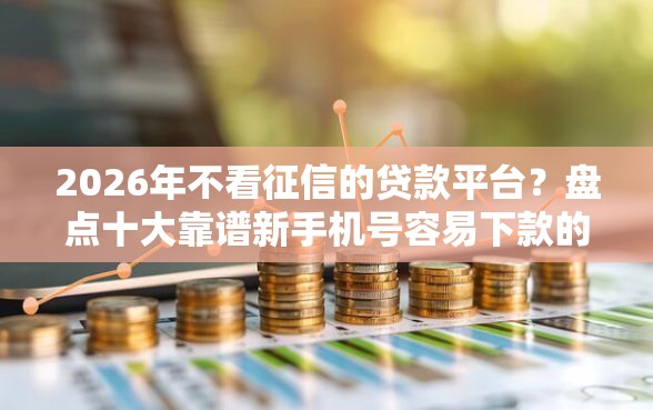 2026年不看征信的贷款平台？盘点十大靠谱新手机号容易下款的软件
