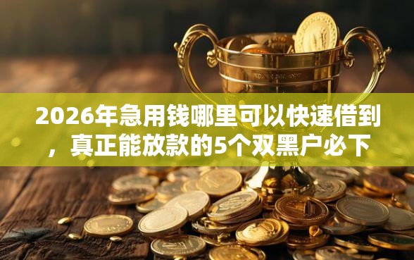 2026年急用钱哪里可以快速借到，真正能放款的5个双黑户必下款的口子推荐