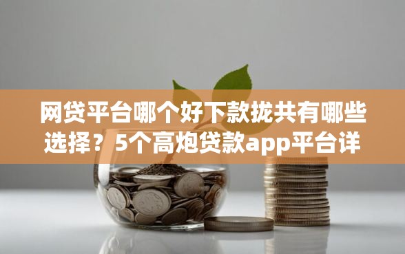 网贷平台哪个好下款拢共有哪些选择?5个高炮贷款app平台详解 网贷平台哪个好下款拢共有哪些选择?5个高炮贷款app平台详解