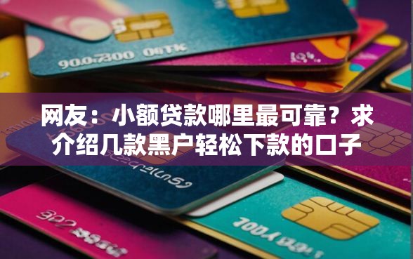 网友：小额贷款哪里最可靠？求介绍几款黑户轻松下款的口子