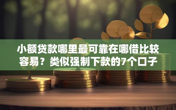小额贷款哪里最可靠在哪借比较容易？类似强制下款的7个口子参考