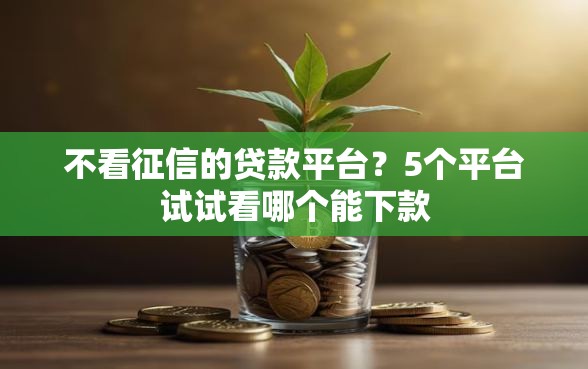不看征信的贷款平台？5个平台试试看哪个能下款