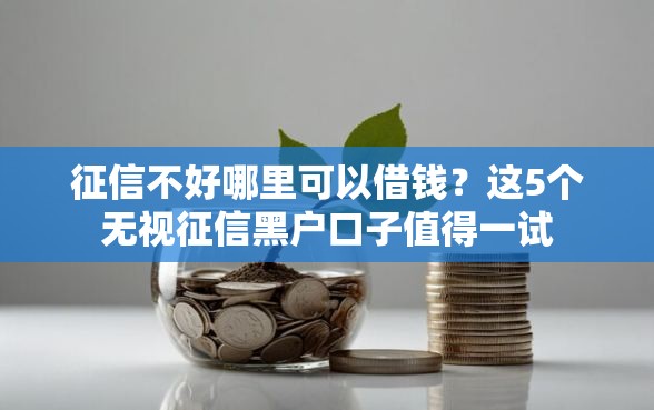 征信不好哪里可以借钱？这5个无视征信黑户口子值得一试