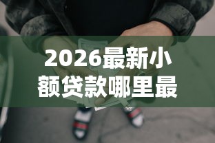 2026最新小额贷款哪里最可靠，总结十个网贷平台比较容易通过的！