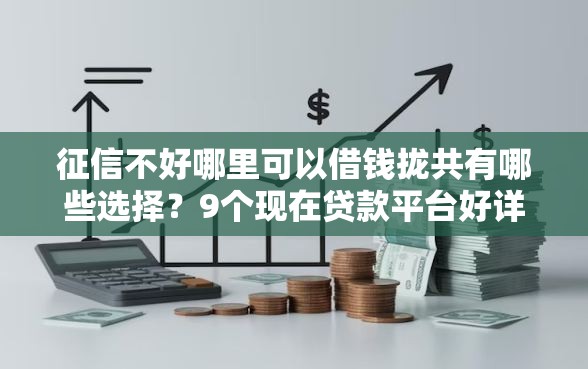 征信不好哪里可以借钱拢共有哪些选择？9个现在贷款平台好详解