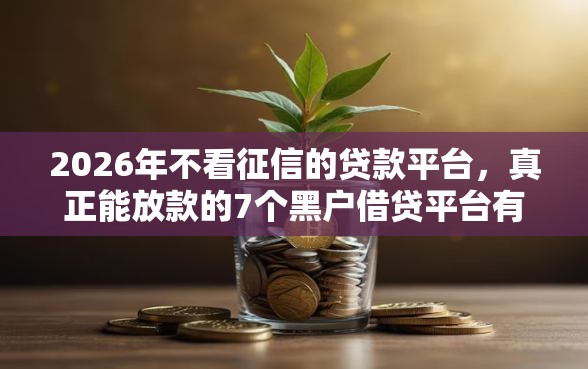 2026年不看征信的贷款平台，真正能放款的7个黑户借贷平台有哪几家推荐