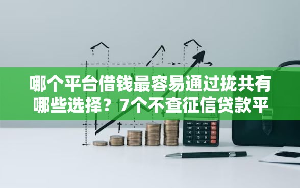 哪个平台借钱最容易通过拢共有哪些选择？7个不查征信贷款平台详解