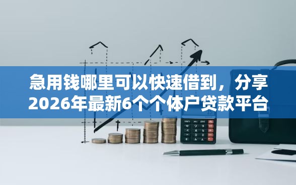 急用钱哪里可以快速借到，分享2026年最新6个个体户贷款平台