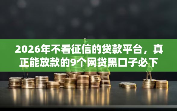2026年不看征信的贷款平台，真正能放款的9个网贷黑口子必下款app推荐