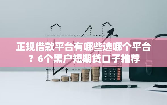 正规借款平台有哪些选哪个平台？6个黑户短期贷口子推荐