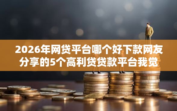 2026年网贷平台哪个好下款网友分享的5个高利贷贷款平台我觉得不错！