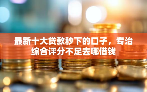 最新十大贷款秒下的口子，专治综合评分不足去哪借钱