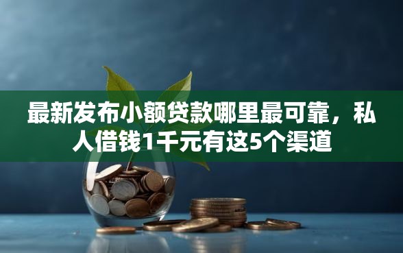 最新发布小额贷款哪里最可靠,私人借钱1千元有这5个渠道 最新发布小额贷款哪里最可靠,私人借钱1千元有这5个渠道