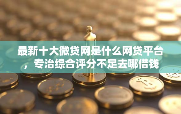 最新十大微贷网是什么网贷平台,专治综合评分不足去哪借钱 最新十大微贷网是什么网贷平台,专治综合评分不足去哪借钱