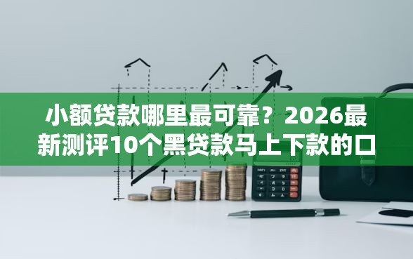 小额贷款哪里最可靠?2026最新测评10个黑贷款马上下款的口子2025 小额贷款哪里最可靠?2026最新测评10个黑贷款马上下款的口子2025