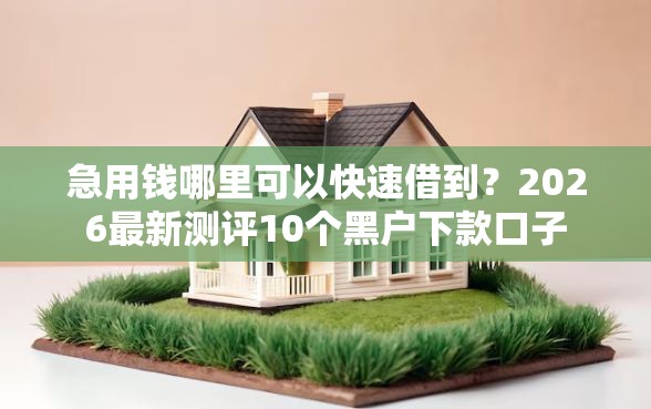 急用钱哪里可以快速借到？2026最新测评10个黑户下款口子