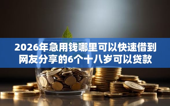 2026年急用钱哪里可以快速借到网友分享的6个十八岁可以贷款的平台我觉得不错！