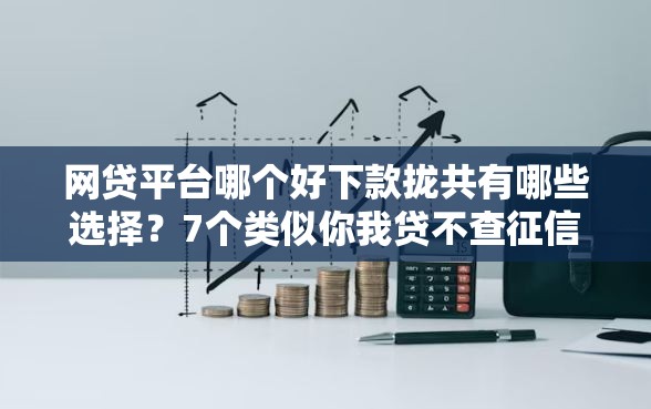 网贷平台哪个好下款拢共有哪些选择?7个类似你我贷不查征信的贷款平台详解 网贷平台哪个好下款拢共有哪些选择?7个类似你我贷不查征信的贷款平台详解