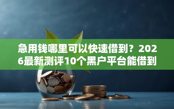 急用钱哪里可以快速借到？2026最新测评10个黑户平台能借到钱啊急用